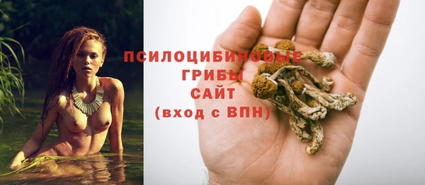прущий лед Алексеевка