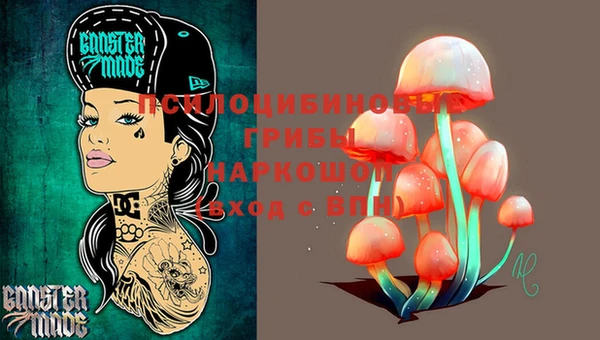 прущий лед Алексеевка