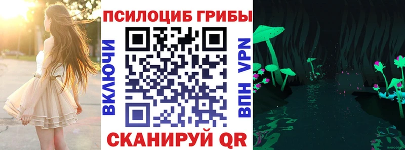 магазин    Чистополь  Псилоцибиновые грибы MAGIC MUSHROOMS 