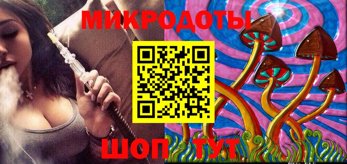 Псилоцибиновые грибы GOLDEN TEACHER  Вход с VPN  Чистополь  Псилоцибиновые грибы GOLDEN TEACHER 